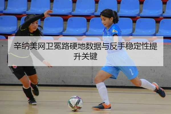 xin-na-mei-wang-wei-mian-lu-ying-di-shu-ju-yu-fan-shou-wen-ding-xing-ti-sheng-guan-jian-2-211.jpg